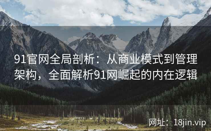 91官网全局剖析：从商业模式到管理架构，全面解析91网崛起的内在逻辑
