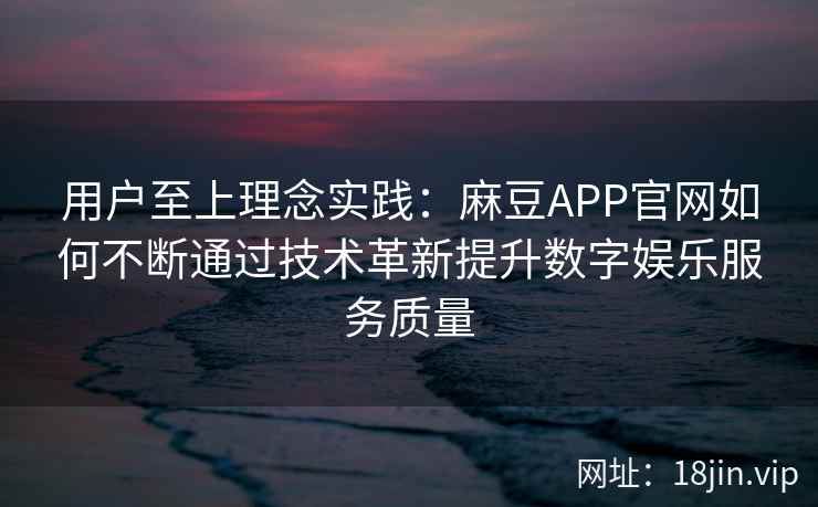 用户至上理念实践：麻豆APP官网如何不断通过技术革新提升数字娱乐服务质量