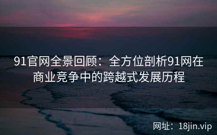 91官网全景回顾：全方位剖析91网在商业竞争中的跨越式发展历程