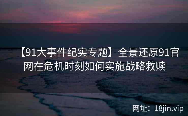 【91大事件纪实专题】全景还原91官网在危机时刻如何实施战略救赎