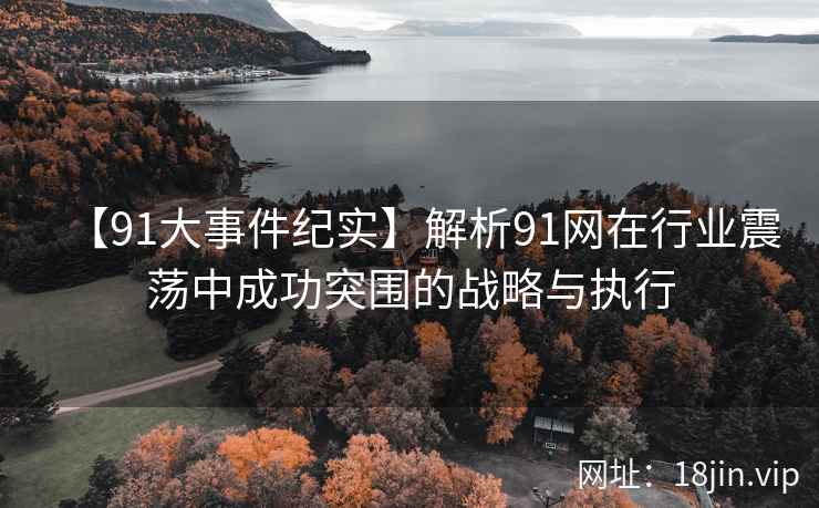 【91大事件纪实】解析91网在行业震荡中成功突围的战略与执行