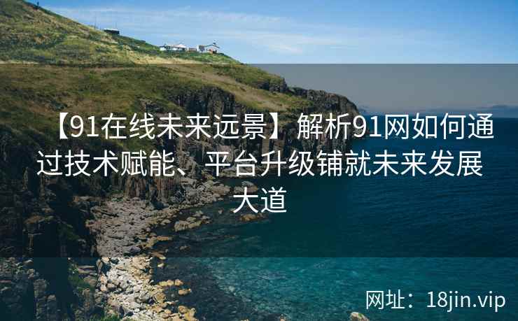 【91在线未来远景】解析91网如何通过技术赋能、平台升级铺就未来发展大道