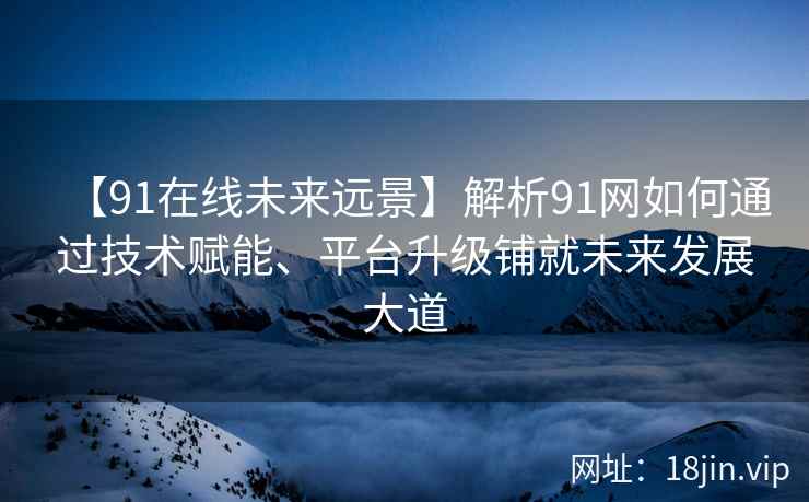 【91在线未来远景】解析91网如何通过技术赋能、平台升级铺就未来发展大道