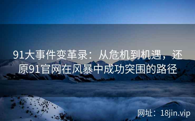 91大事件变革录：从危机到机遇，还原91官网在风暴中成功突围的路径