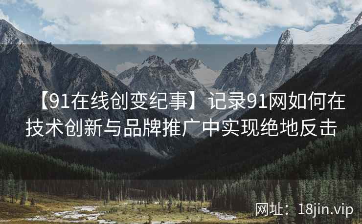 【91在线创变纪事】记录91网如何在技术创新与品牌推广中实现绝地反击