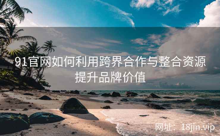 91官网如何利用跨界合作与整合资源提升品牌价值 91官网如何利用跨界合作与整合资源提升品牌价值