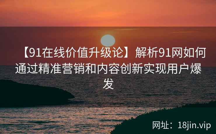 【91在线价值升级论】解析91网如何通过精准营销和内容创新实现用户爆发
