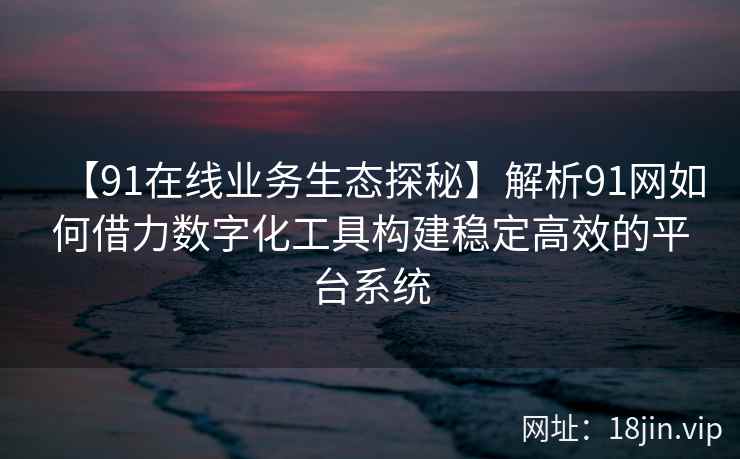 【91在线业务生态探秘】解析91网如何借力数字化工具构建稳定高效的平台系统 【91在线业务生态探秘】解析91网如何借力数字化工具构建稳定高效的平台系统